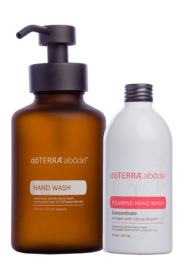 Abode Handwash with Dispenser