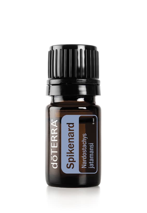 Spikenard