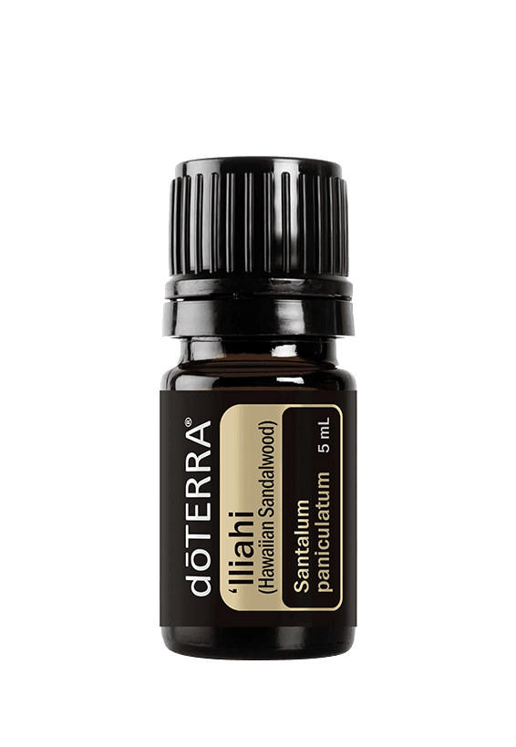 Iliahi (Hawaiian Sandalwood)